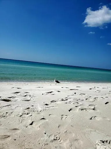 Palmetto Beachfront Resort, A By The Sea Resort Panama City Beach 4*,